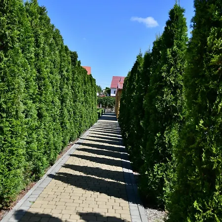 Stacja Lato Dla Rodzin Z Dziecmi